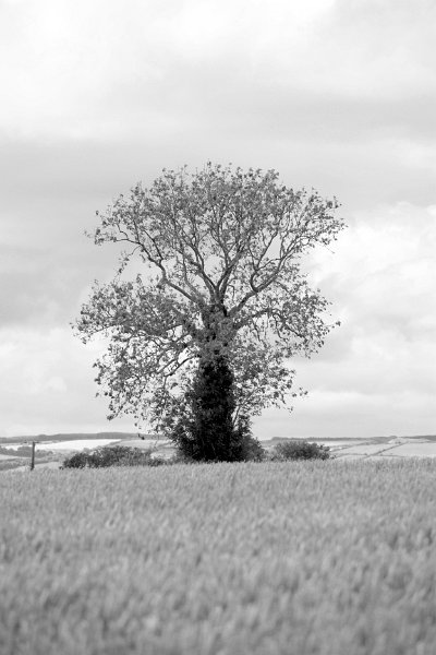 Black and white_0001